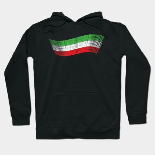 Italy Flag Design BY OverView. Hoodie